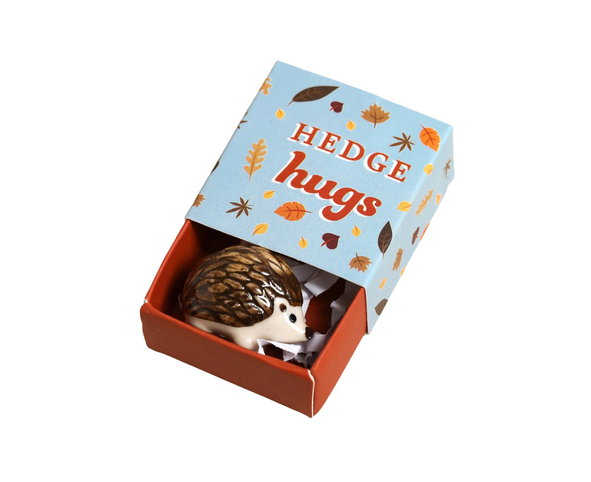 Tiny Ceramic Matchbox Token Hedgehog by Lisa Angel in a blue box with leaves