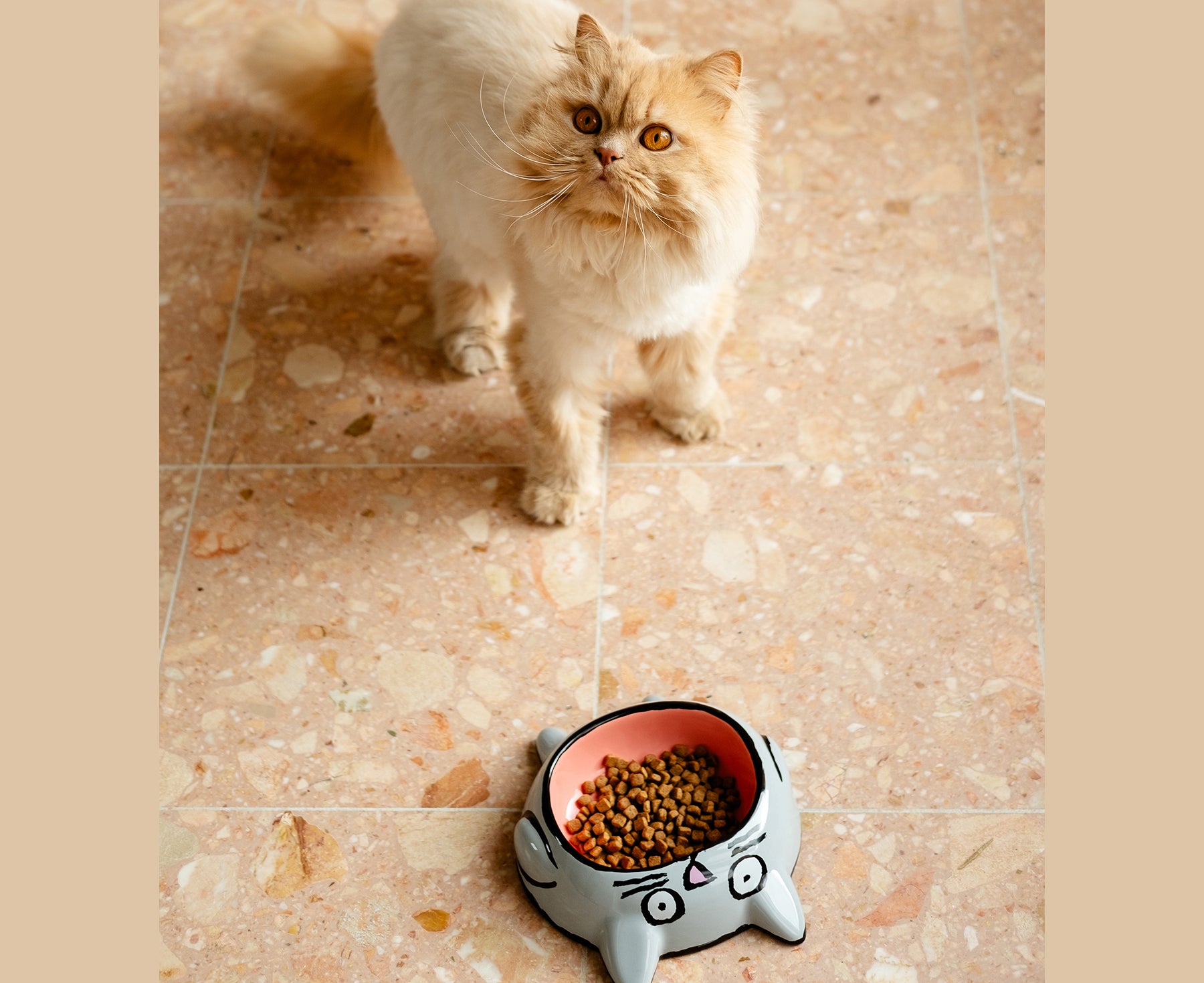 Cat Bowl by Home Studyo and a fluffy cat.