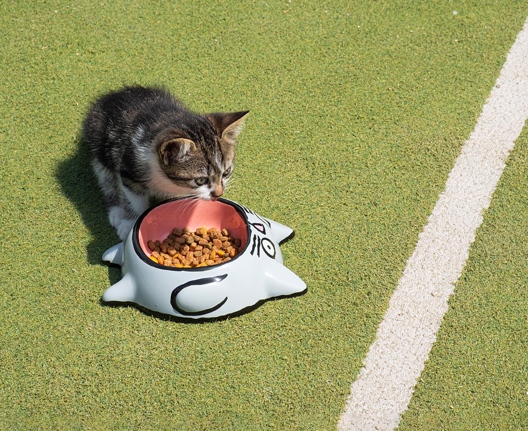 A small tabby kitten eating from a gray cat-shaped bowl by Home Studyo placed on green artificial turf.