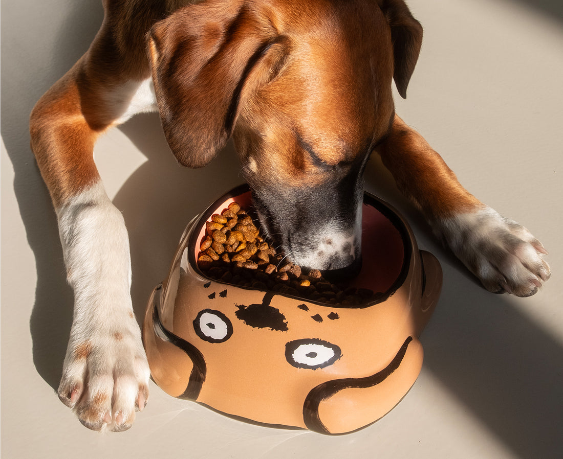 A ceramic Dog Bowl by Home Studyo with a large dog eating.
