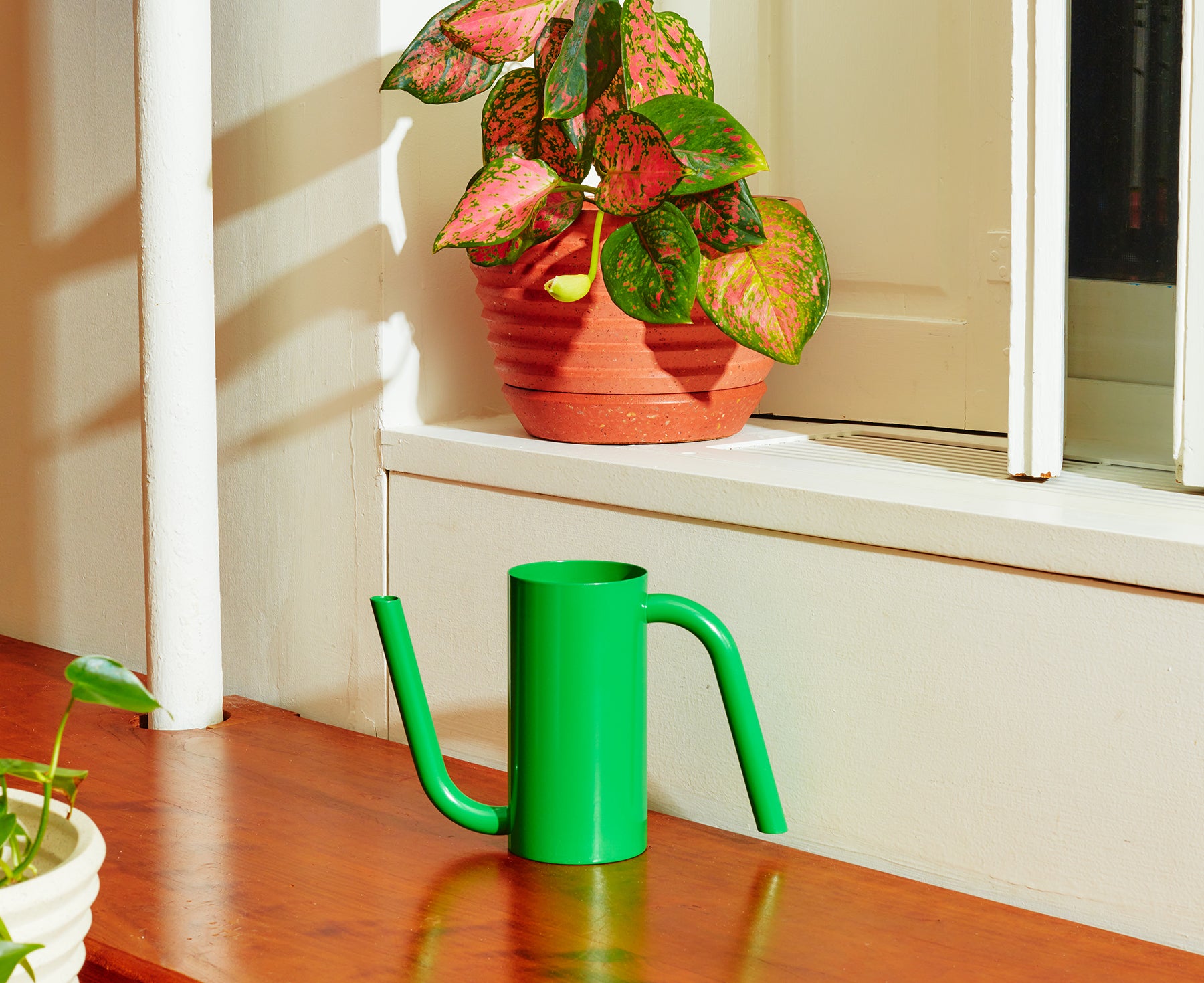 Tango Watering Can in Green by Areaware