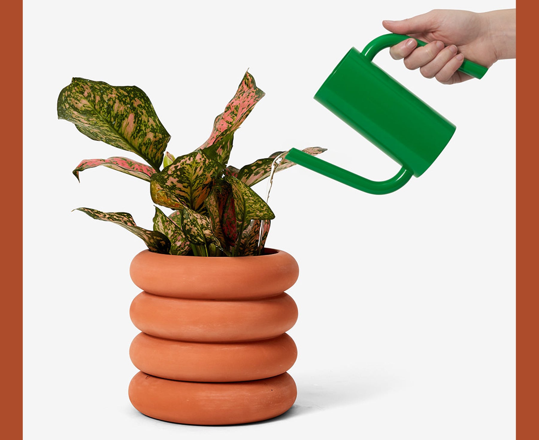 Tango Watering Can in Green by Areaware