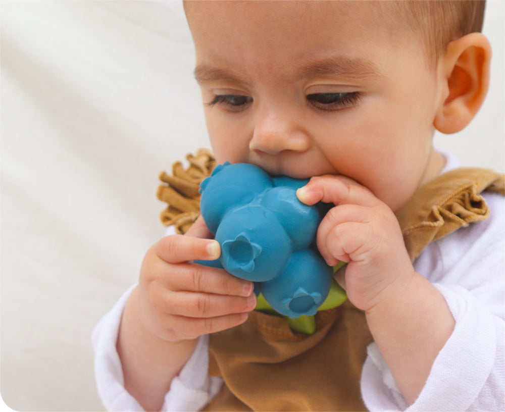 Jerry Blueberry Chewable Toy by Oli &amp; Carol