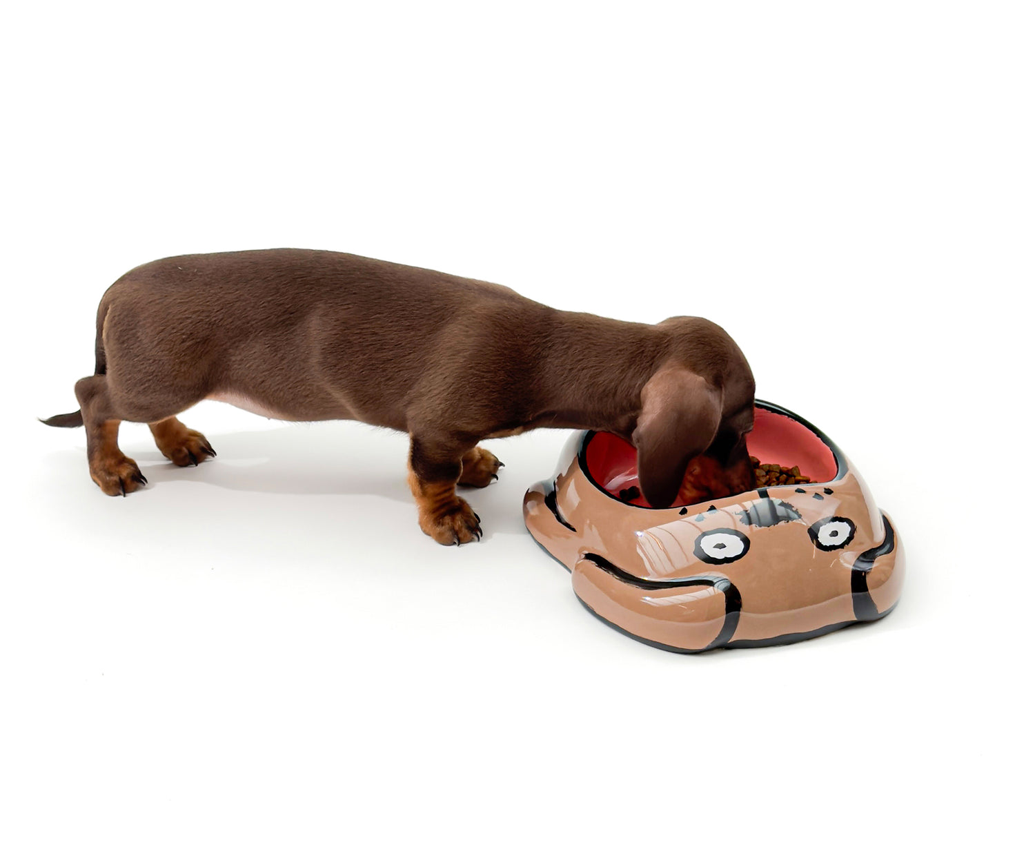 A ceramic Dog Bowl by Home Studyo with a brown sausage dog.