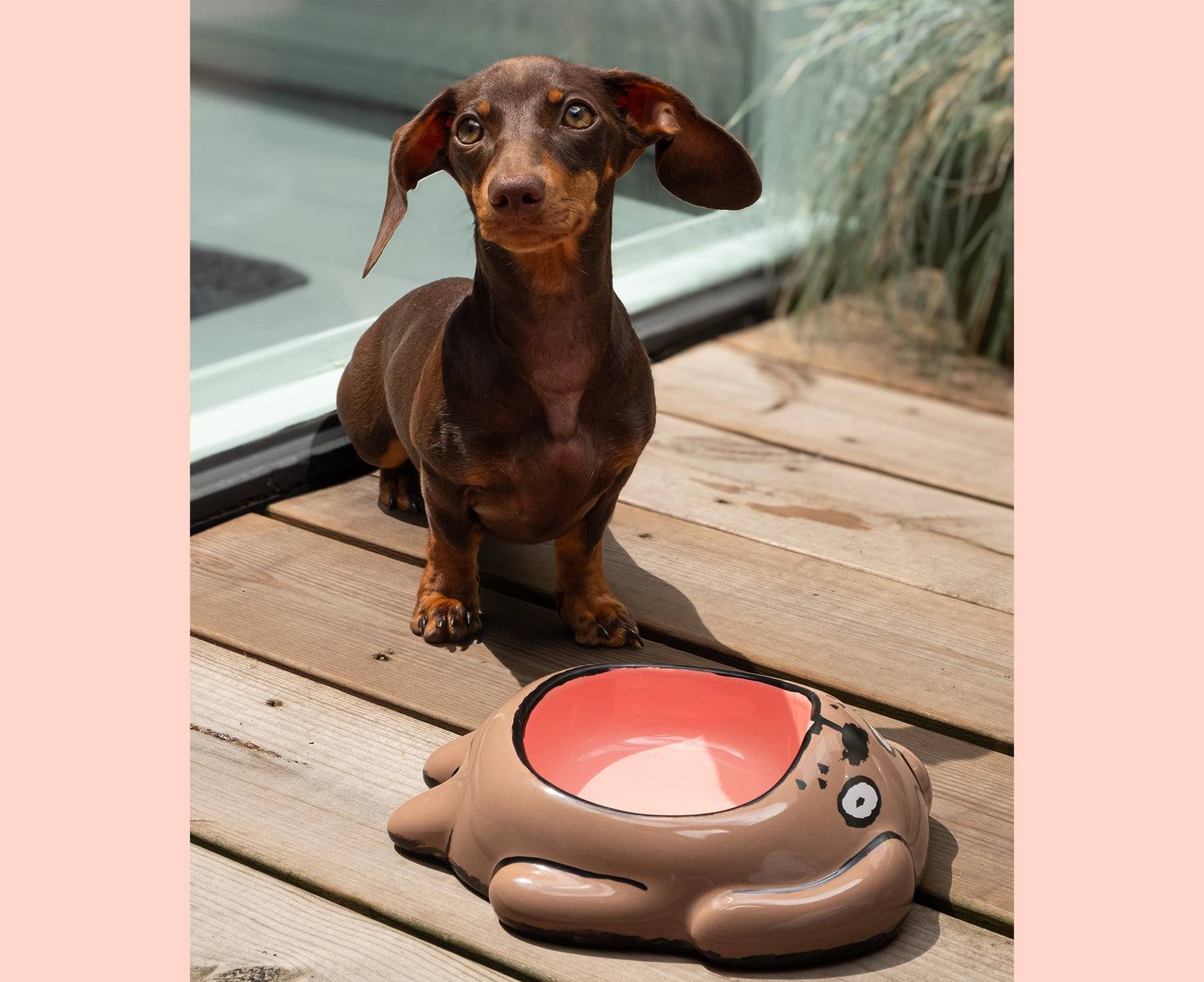 A dachshund sits on a wooden deck next to a ceramic Dog Bowl by Home Studyo.