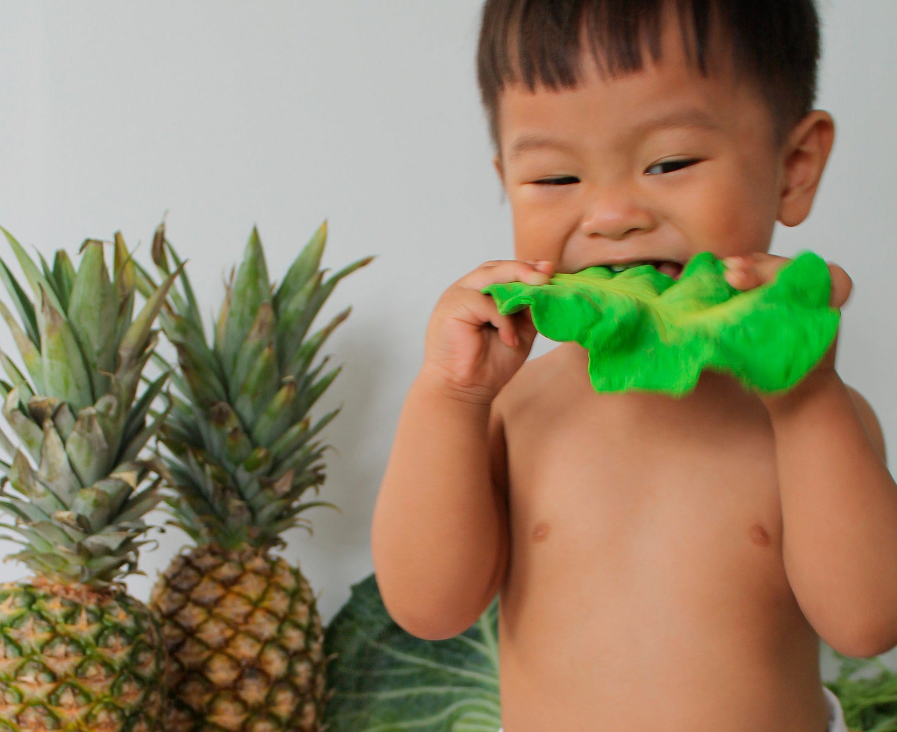 Kale Chewable Toy by Oli &amp; Carol