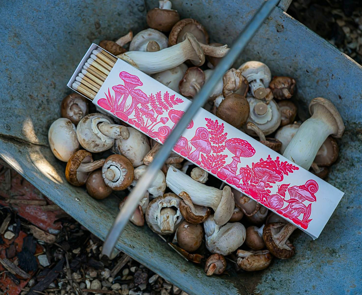 A matchbox filled with wooden matches lies on top of a pile of freshly harvested mushrooms inside a weathered blue metal wheelbarrow. The matchbox is white with a red botanical mushroom pattern.