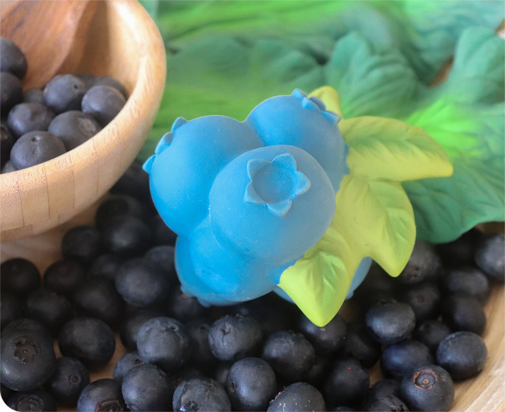 Jerry Blueberry Chewable Toy by Oli &amp; Carol