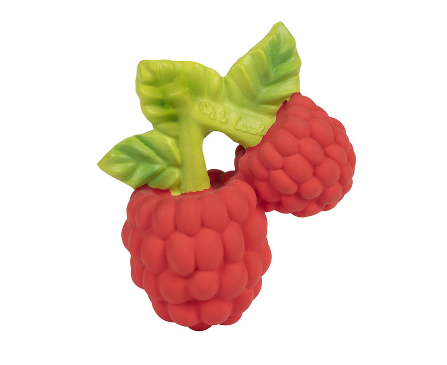 Valery Raspberry Chewable Toy by Oli & Carol