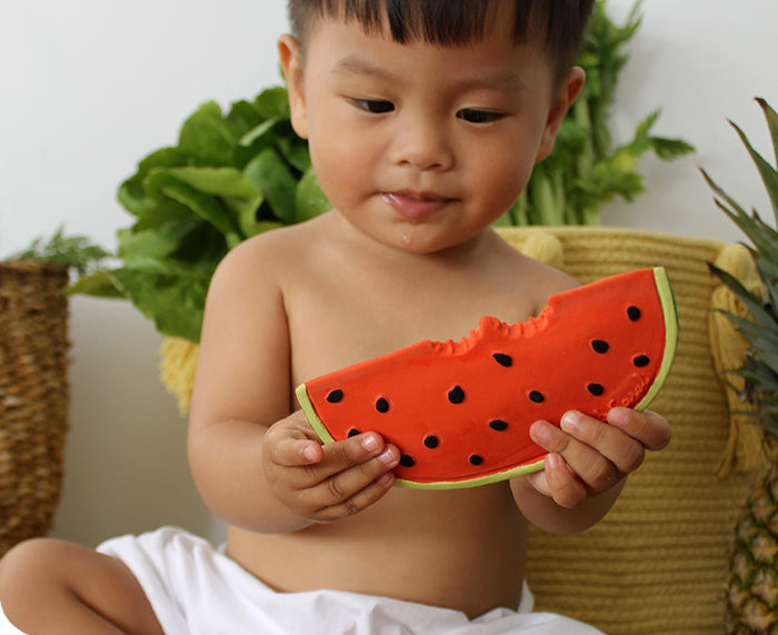 Wally Watermelon Chewable Toy by Oli & Carol